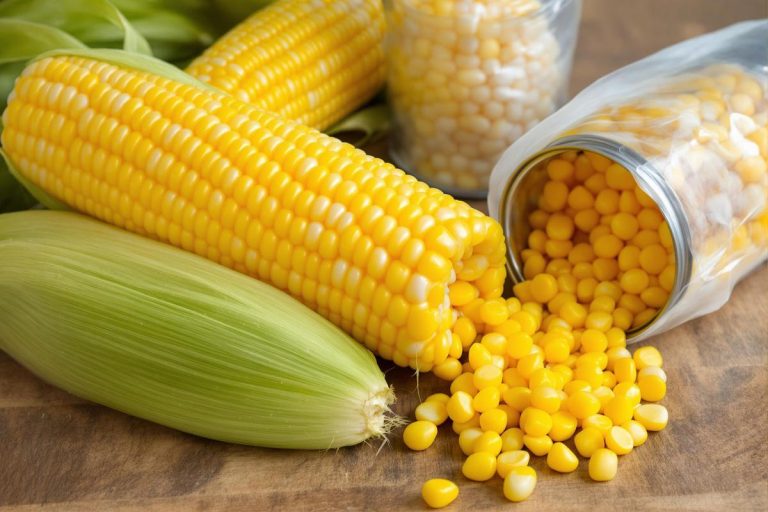 J’ai comparé le maïs frais, en boîte et surgelé : voici le meilleur pour chaque plat.jpg