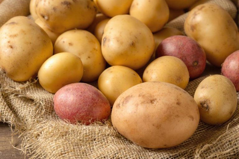 Les variétés de pommes de terre que j’ai testées et leurs usages parfaits.jpg