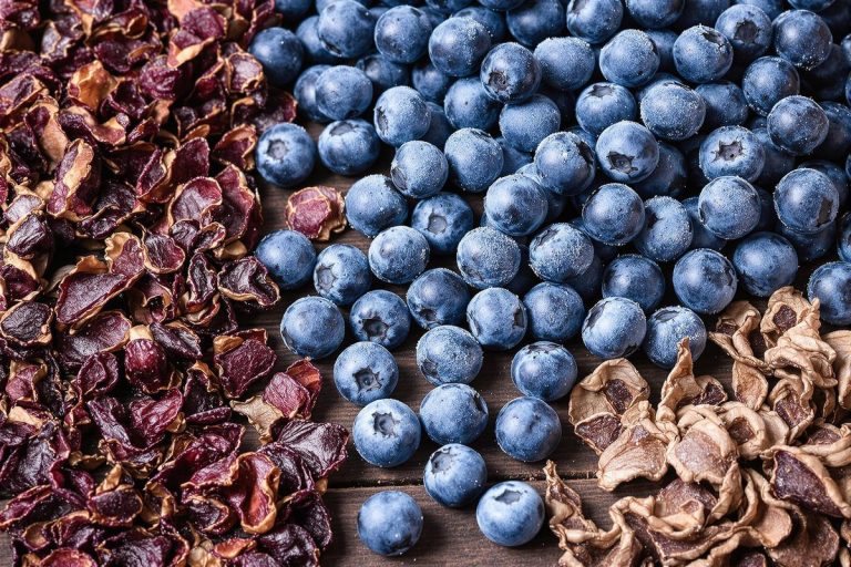 Myrtilles fraîches, surgelées ou séchées : ce que j’utilise selon mes recettes.jpg